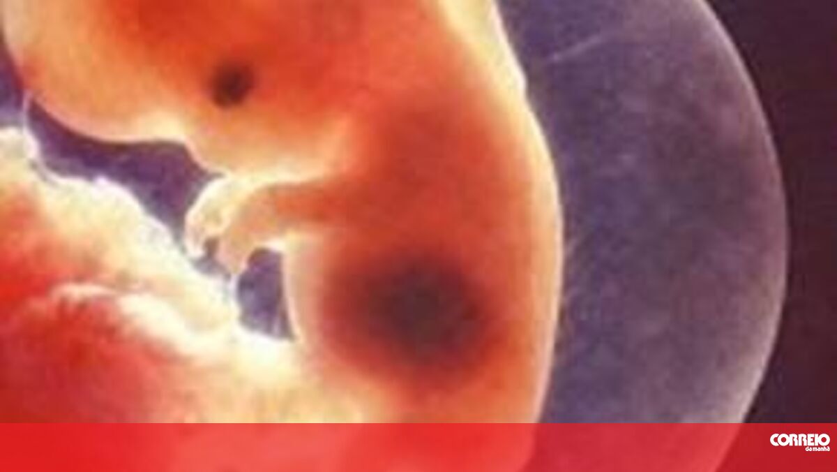 На пороге нового мира: 9-я неделя беременности