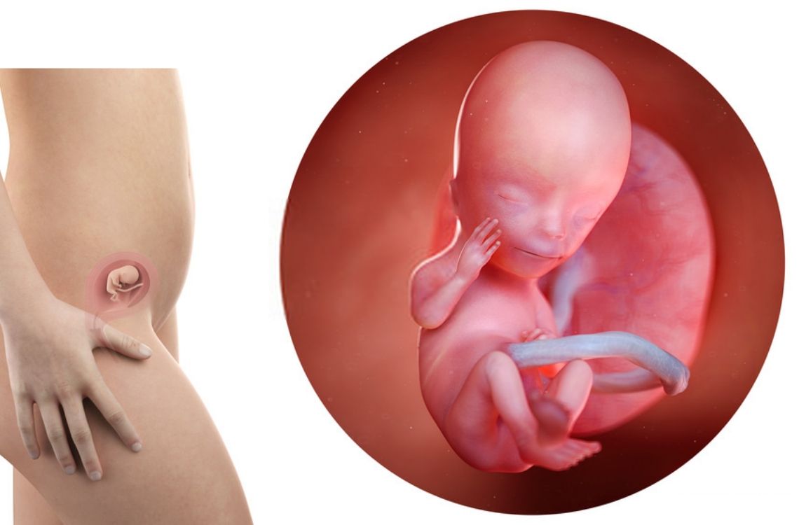 Что происходит на 17-й неделе беременности