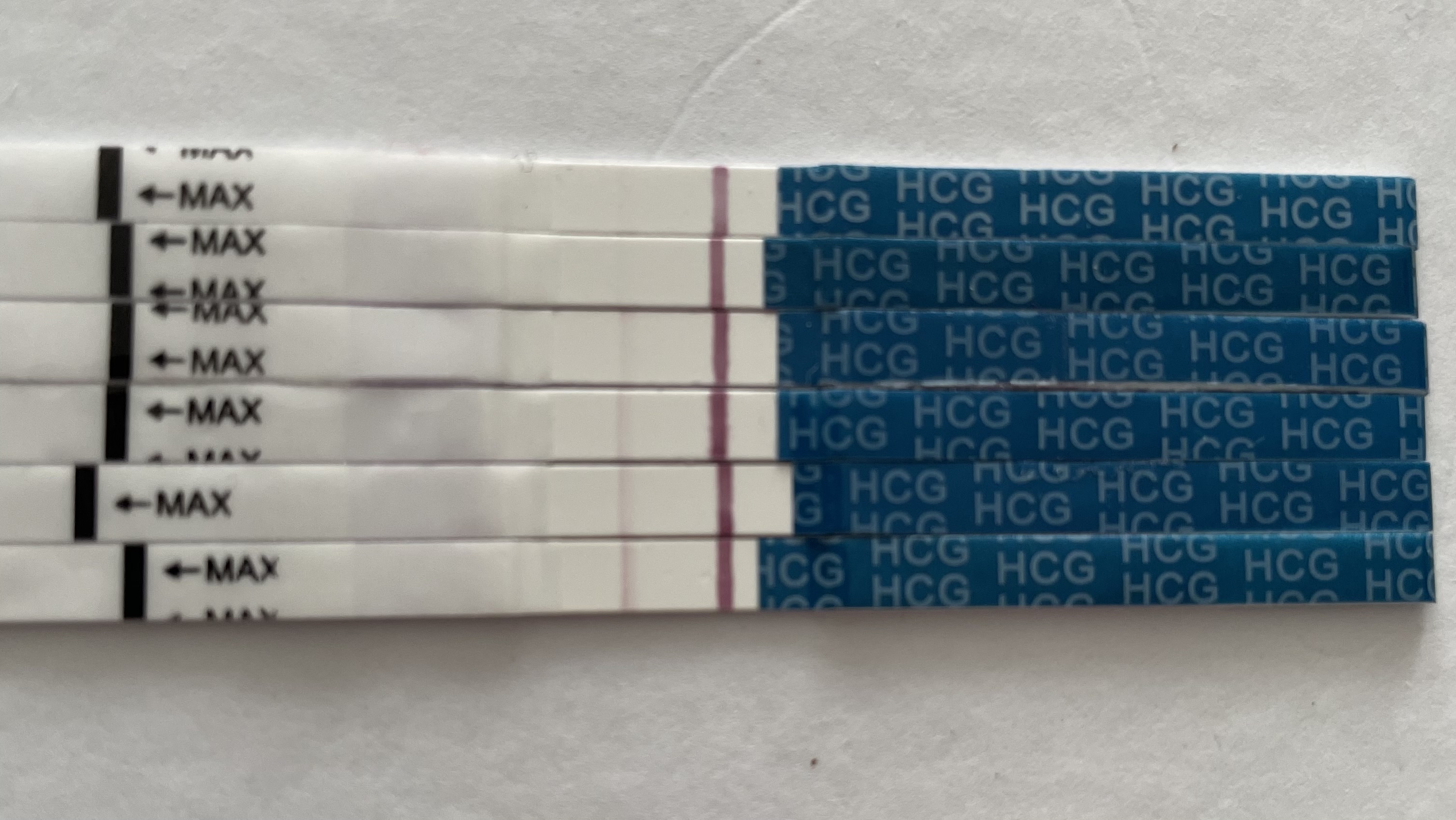 Тайны домашних тестов на беременность