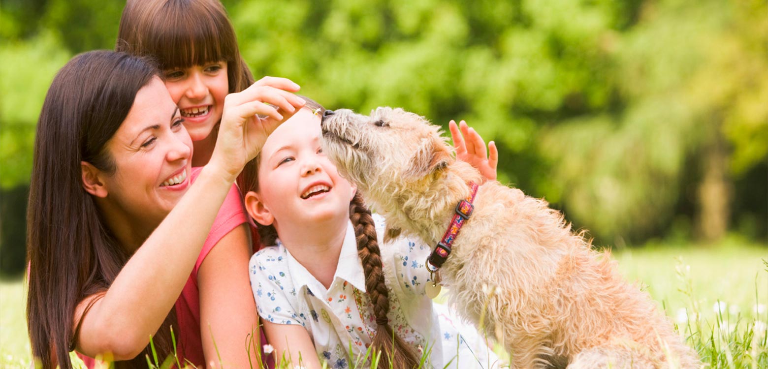 Как познакомить питомца с новым членом семьи? Мы сделали это и вот что из этого вышло