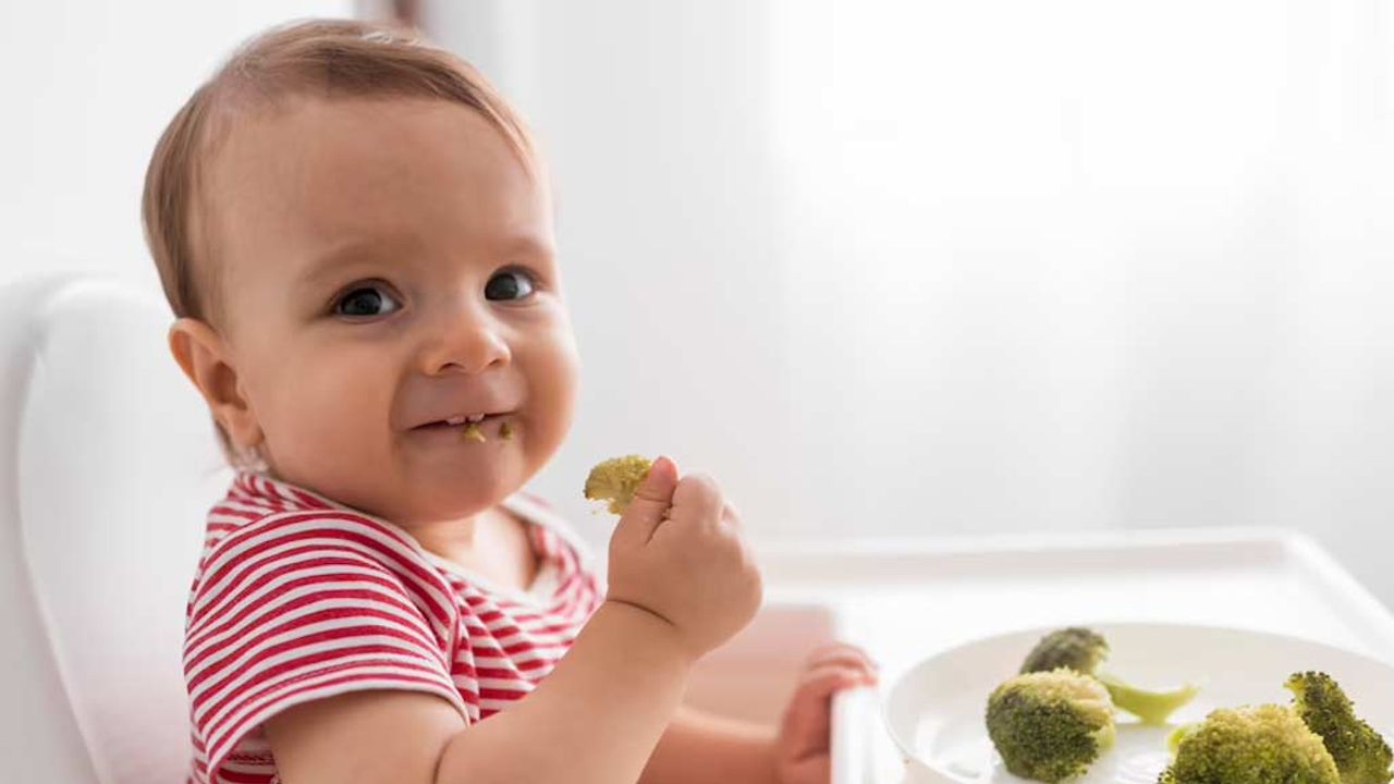 5 сервисов, которые изменят процесс введения прикорма
