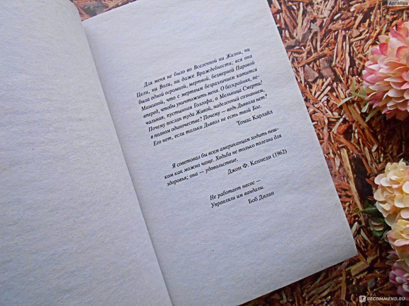 Как я научилась писать левой рукой и открыла для себя утренние страницы