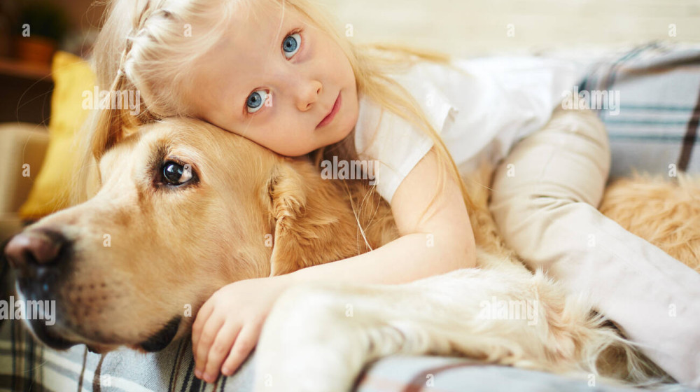 "Внуки и домашние животные: Как научить детей ответственному отношению к питомцам" (Воспитание, Животные)